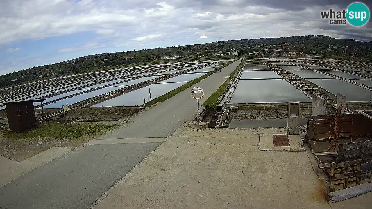 Sezza – Panorama e le saline