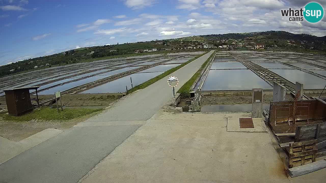 Sezza – Panorama e le saline