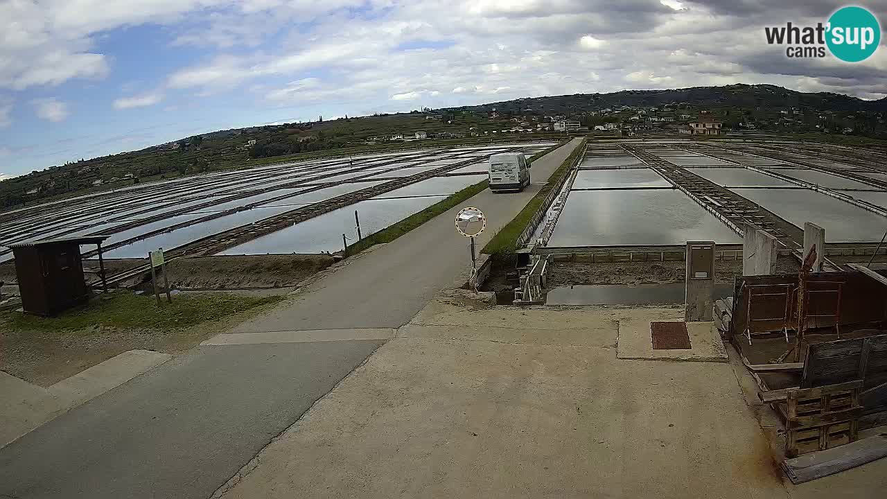 Sečovlje Salina Nature Park