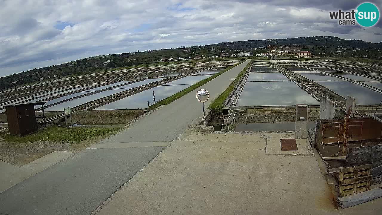 ﻿Sečovlje Salina Nature Park – KPSS