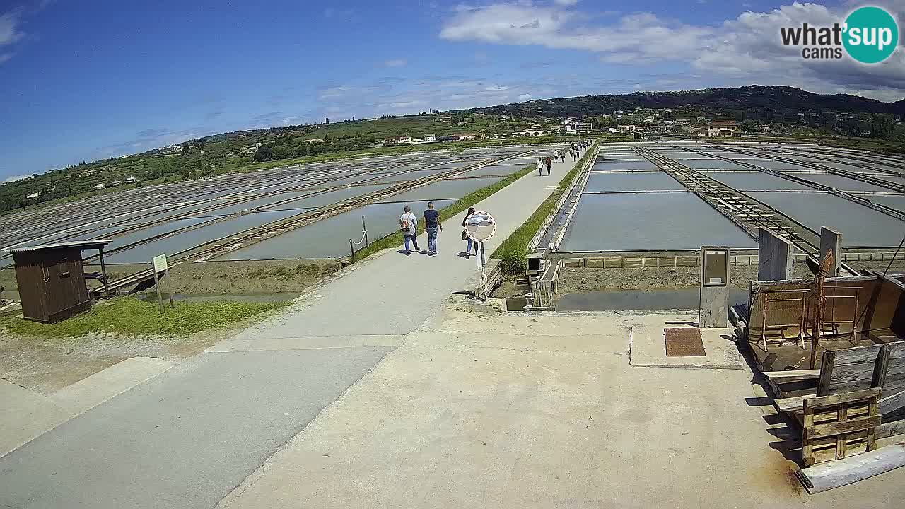 Park prirode Sečovlje Salina