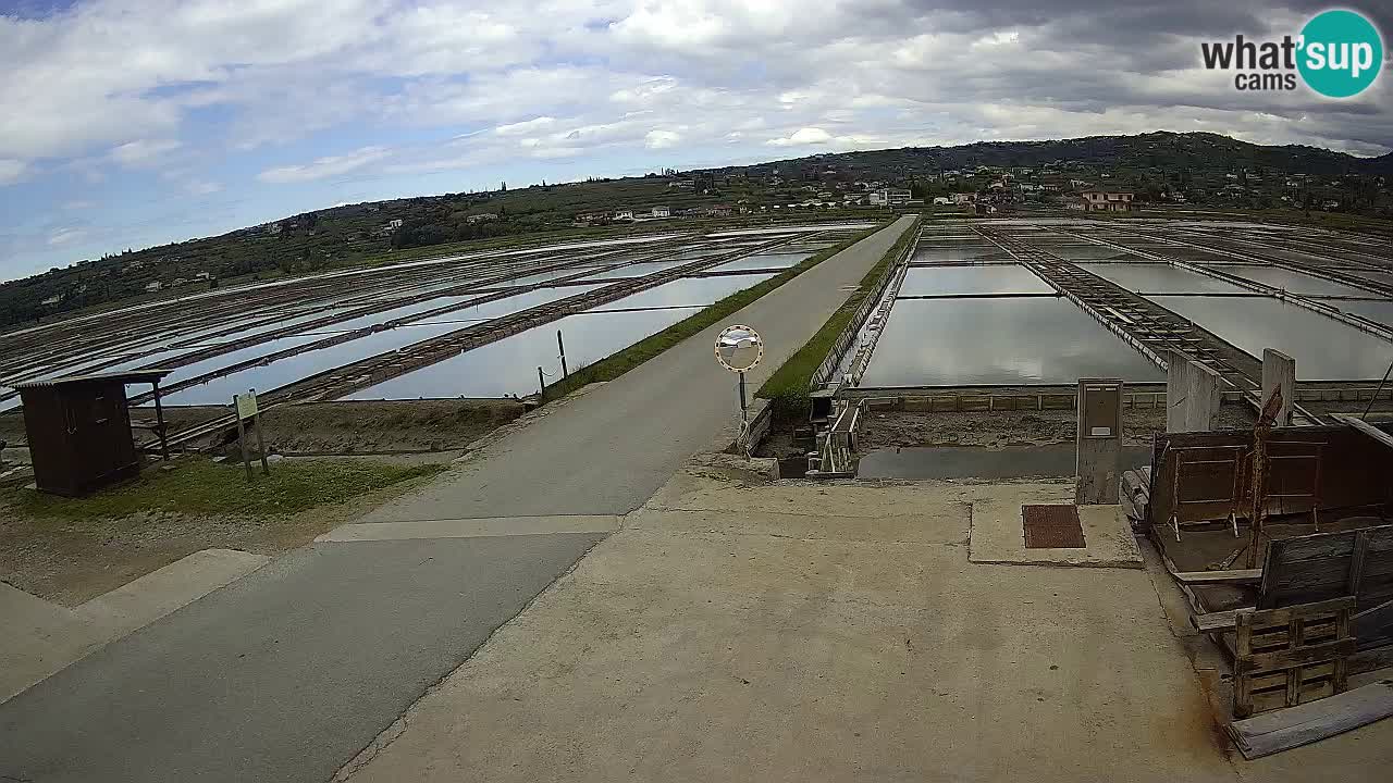 ﻿Sečovlje Salina Nature Park – KPSS