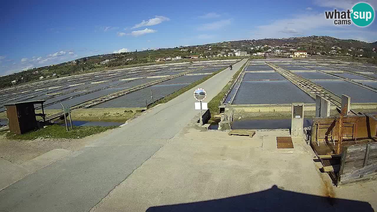 Sečovlje Salina Parque Natural