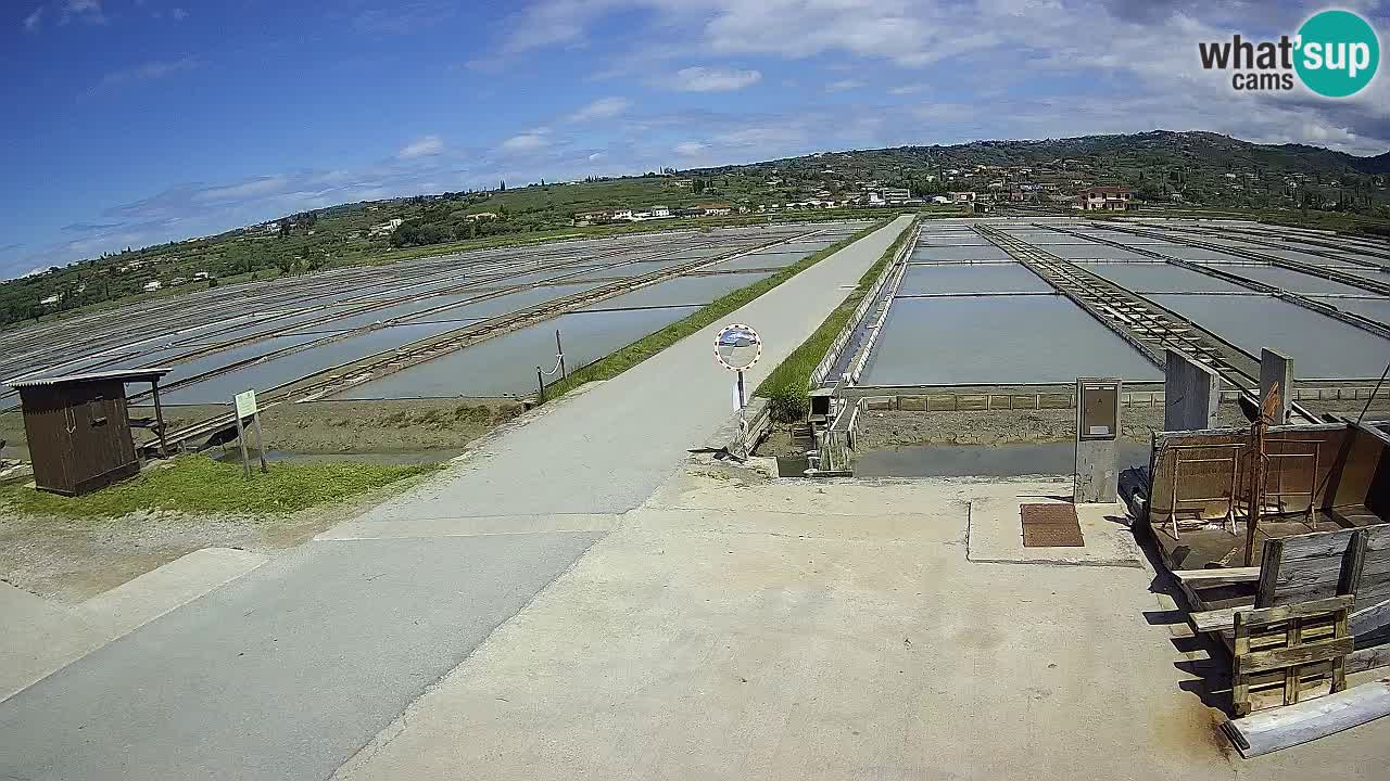 ﻿Sečovlje Salina Nature Park – KPSS