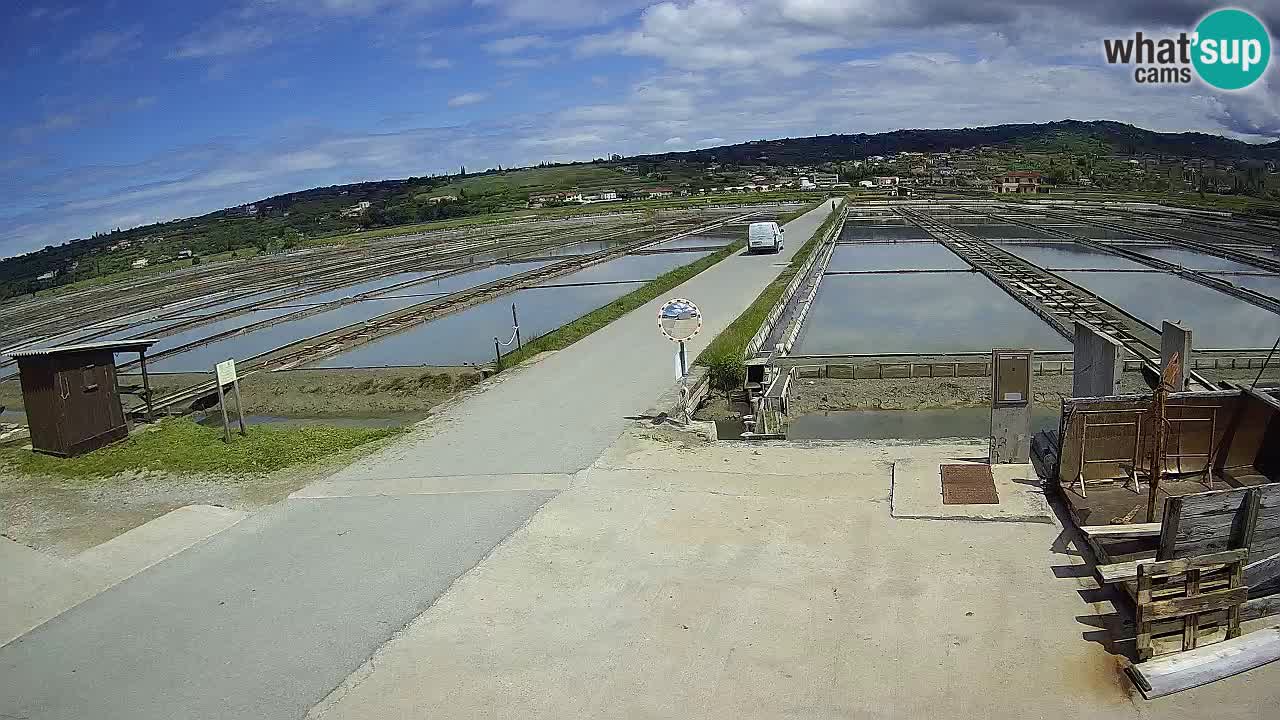 Naturpark der Salinen von Sečovlje