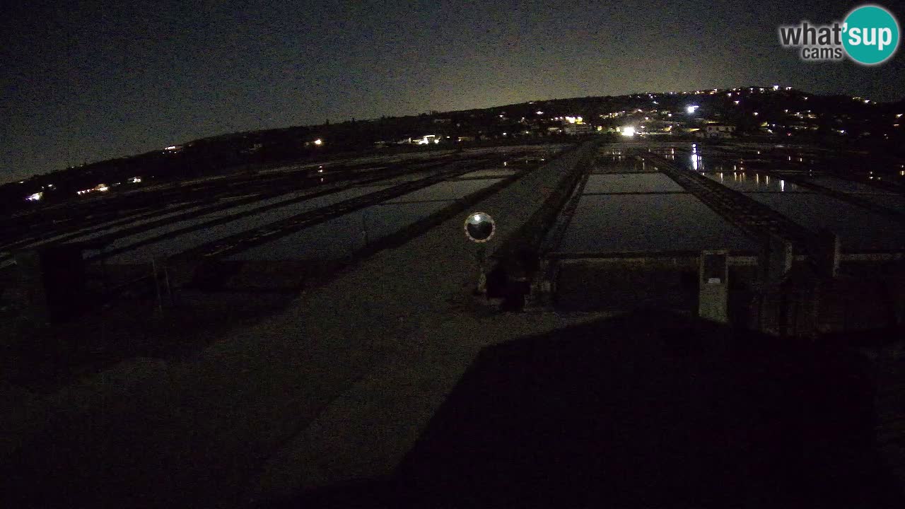 Krajinski Park Sečoveljske Soline