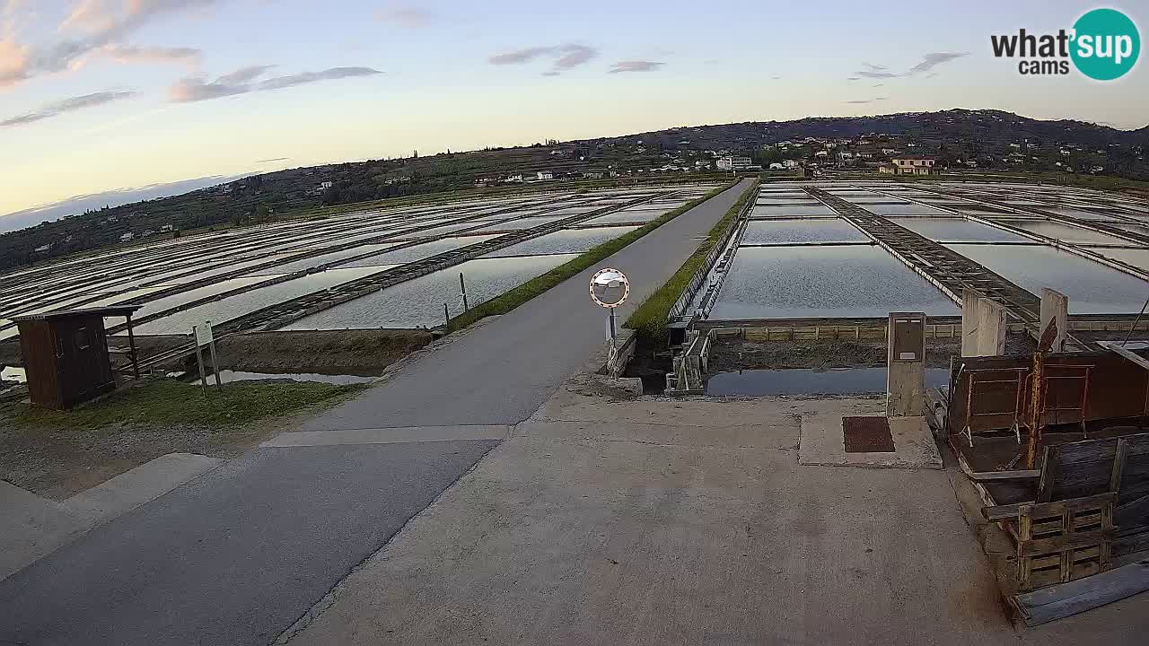 Krajinski Park Sečoveljske Soline