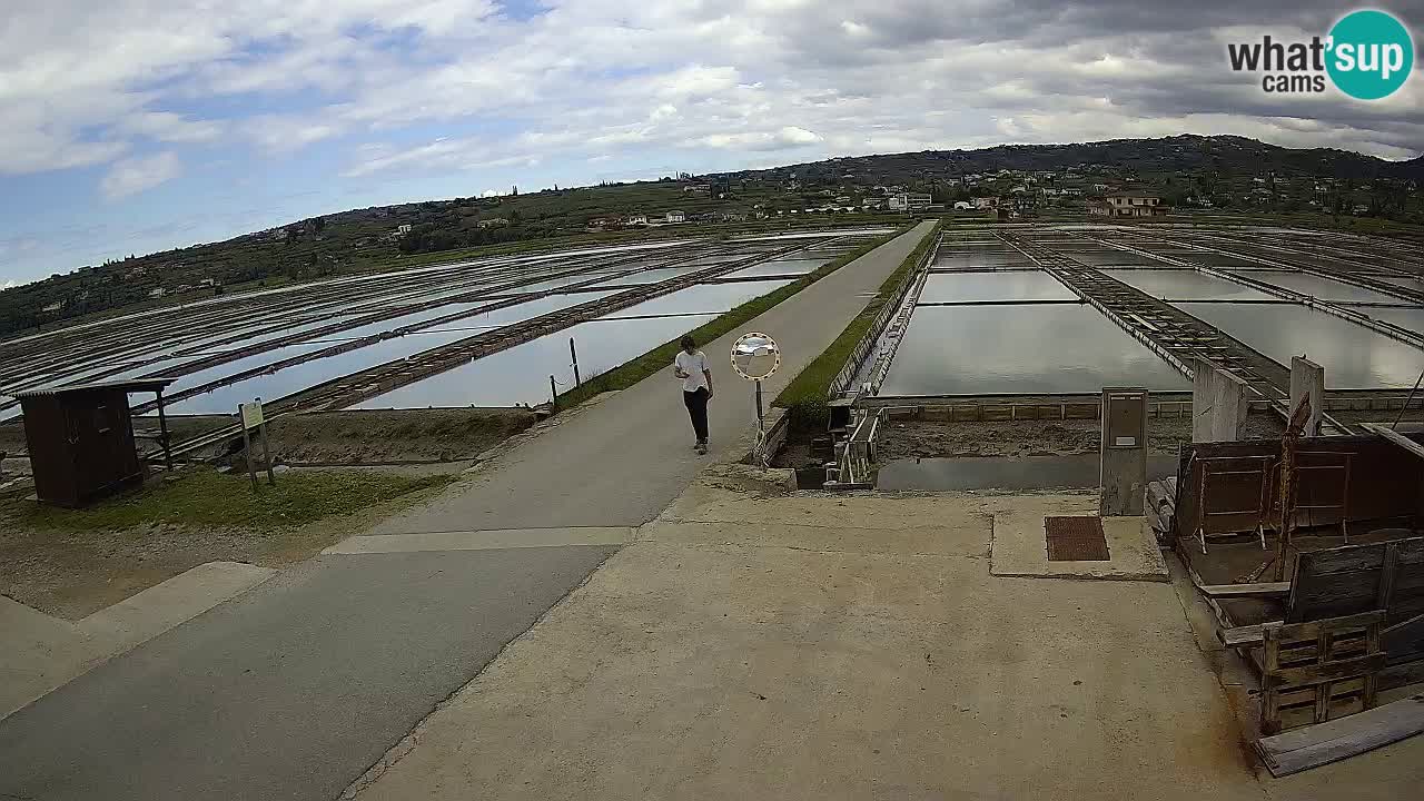 Sezza – Panorama e le saline