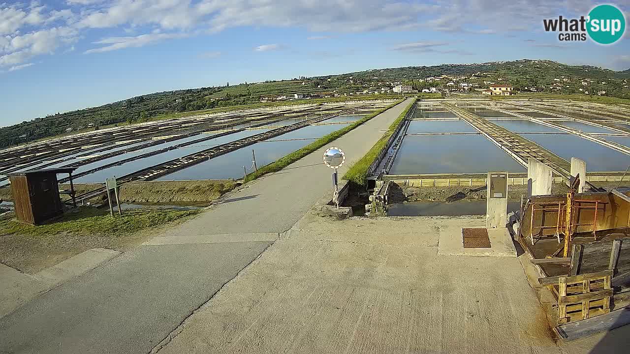 Sezza – Panorama e le saline