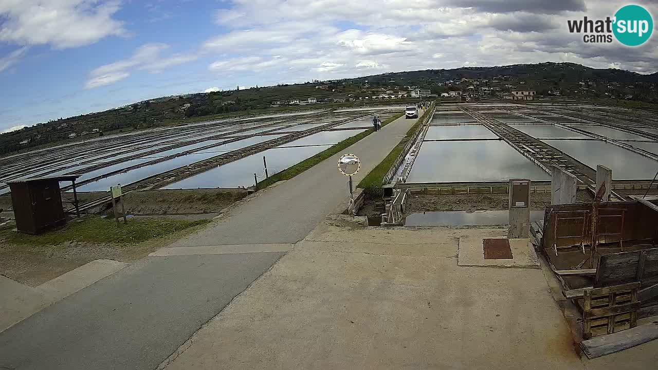 ﻿Sečovlje Salina Nature Park – KPSS