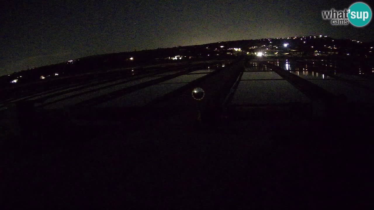 Krajinski Park Sečoveljske Soline