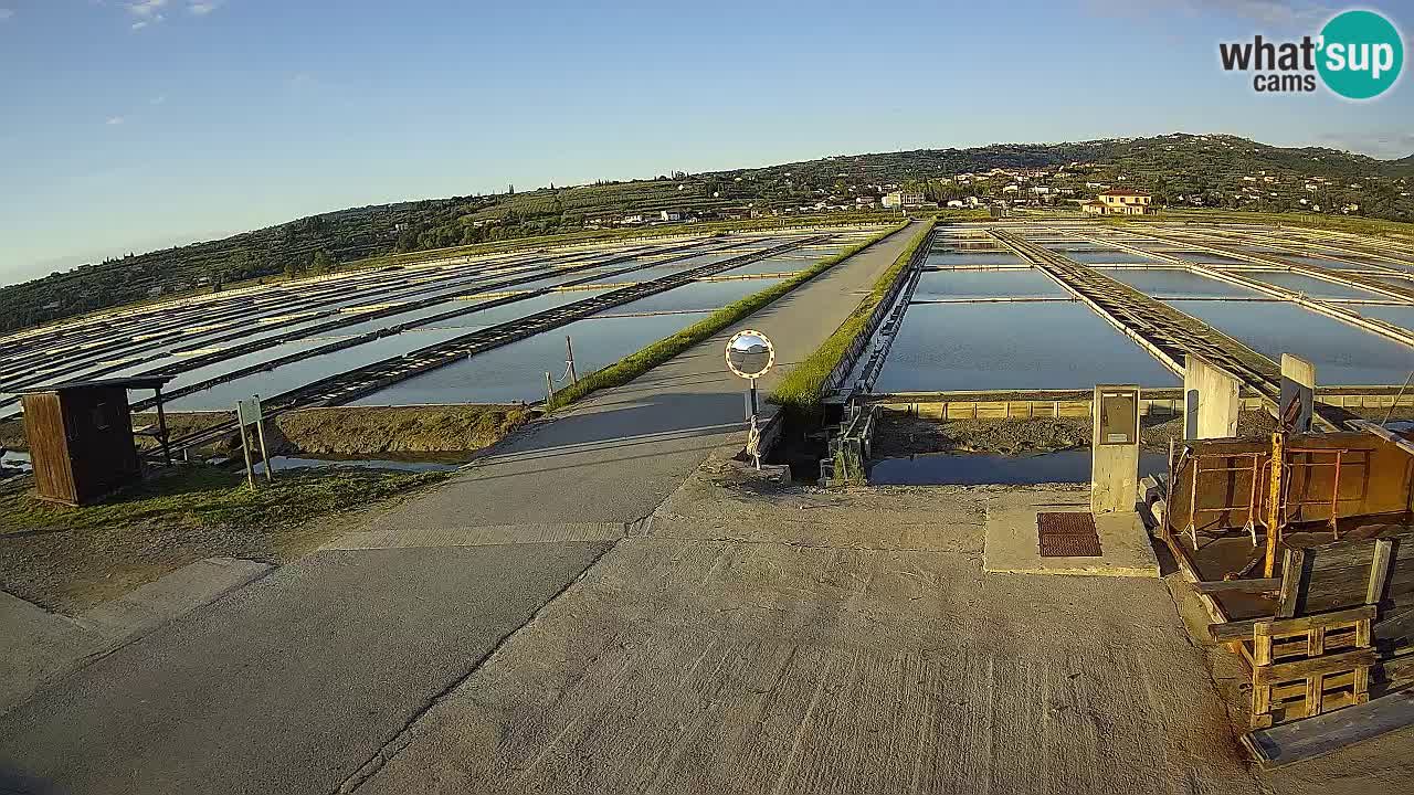Sezza – Panorama e le saline