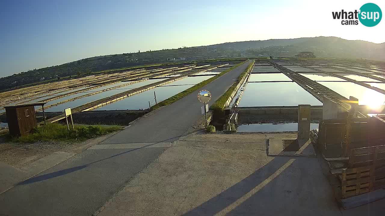 Krajinski Park Sečoveljske Soline
