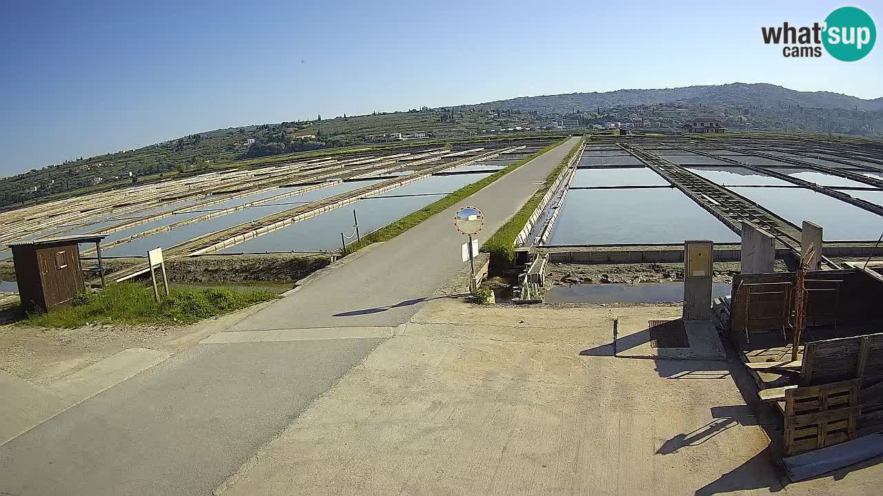 Sečovlje Salina Nature Park