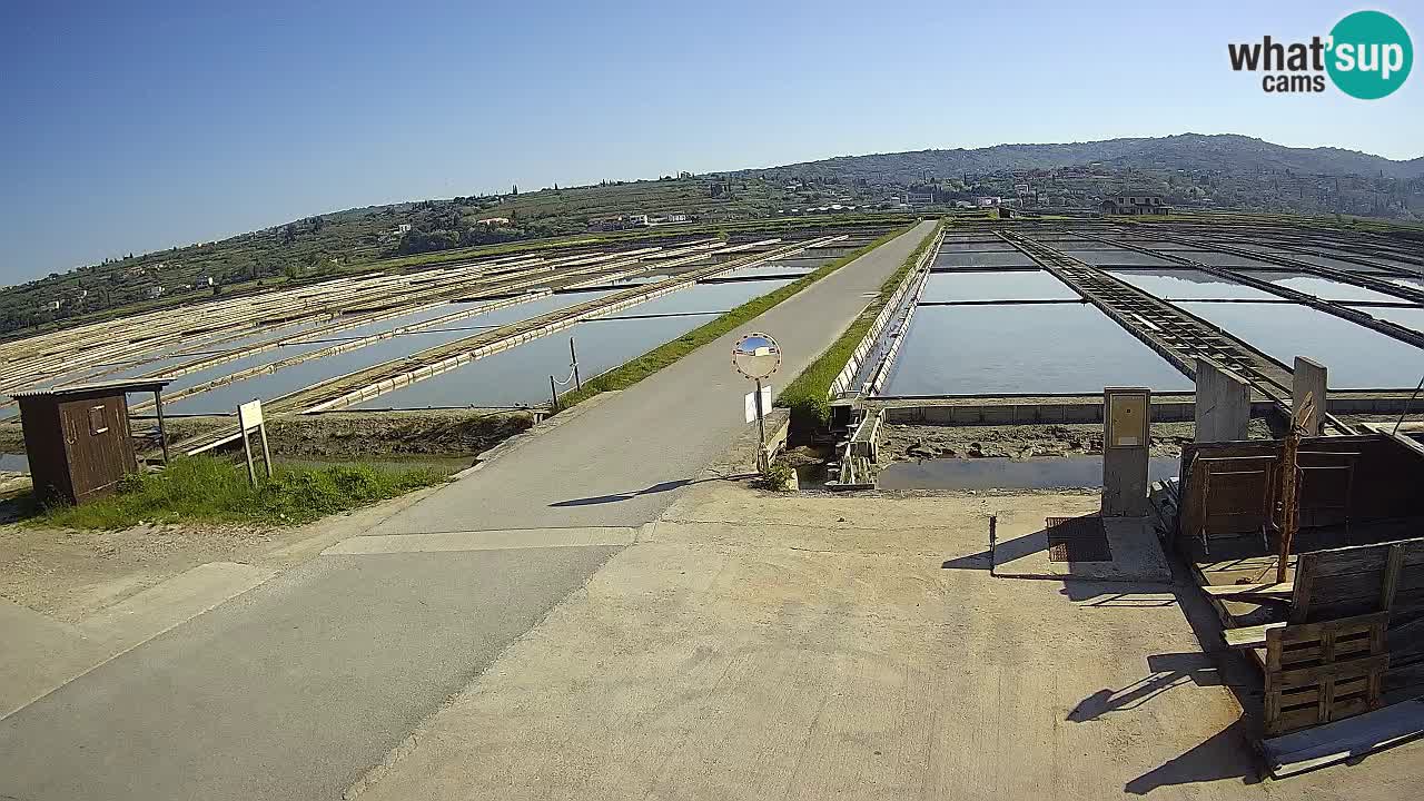 ﻿Sečovlje Salina Nature Park – KPSS