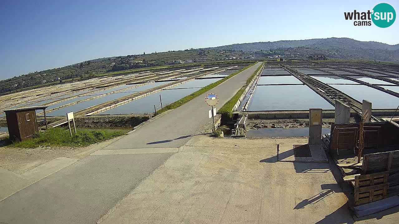 ﻿Sečovlje Salina Nature Park – KPSS