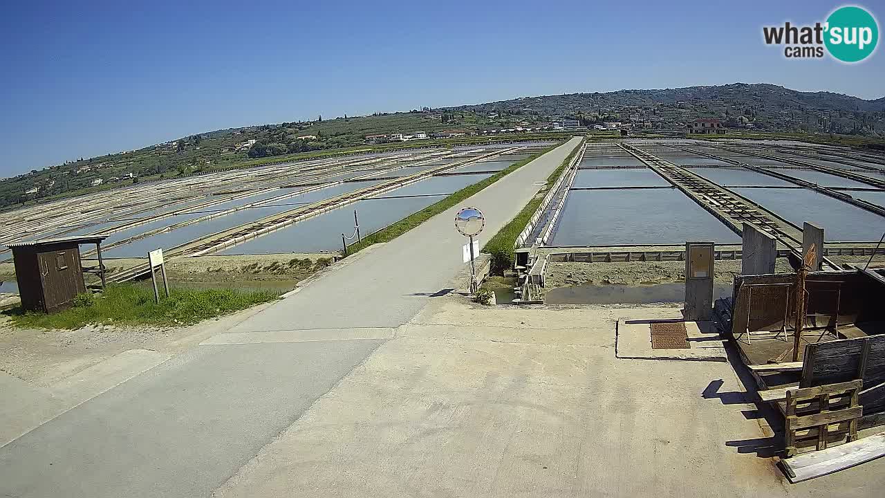 ﻿Sečovlje Salina Nature Park – KPSS