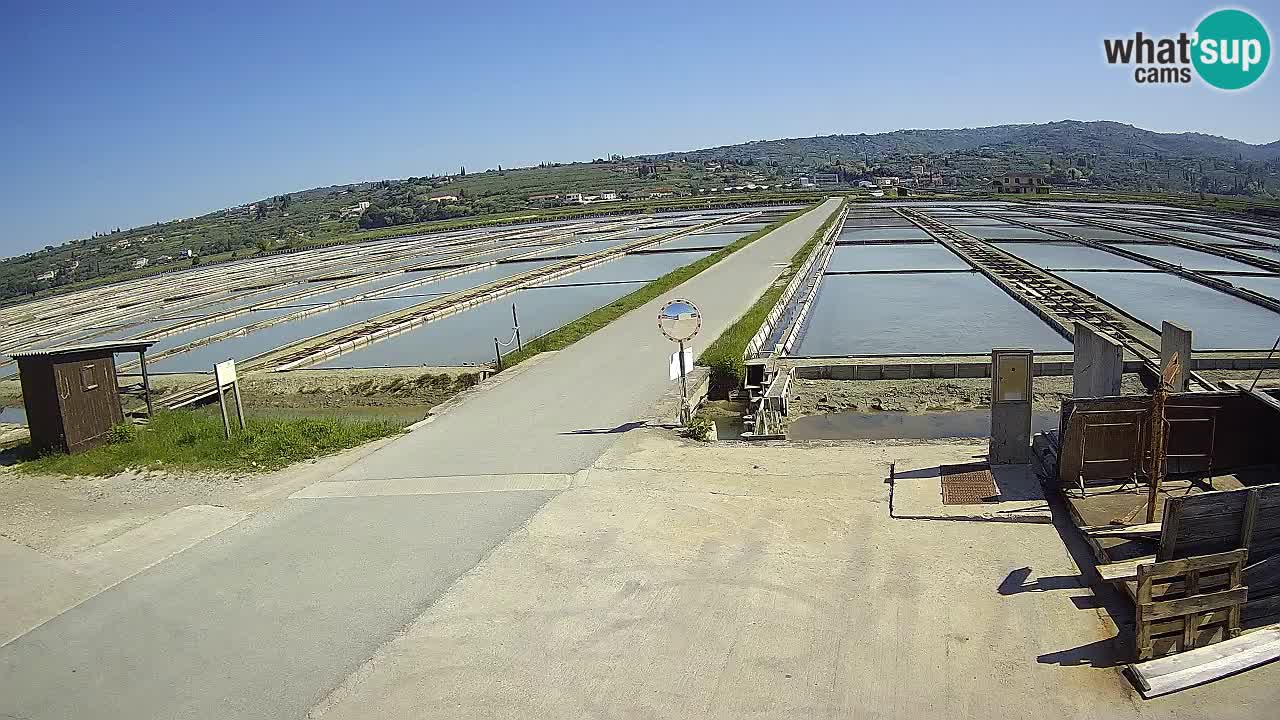 ﻿Sečovlje Salina Nature Park – KPSS