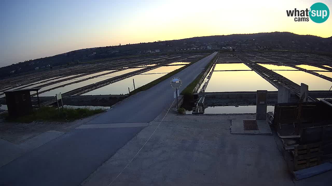﻿Sečovlje Salina Nature Park – KPSS