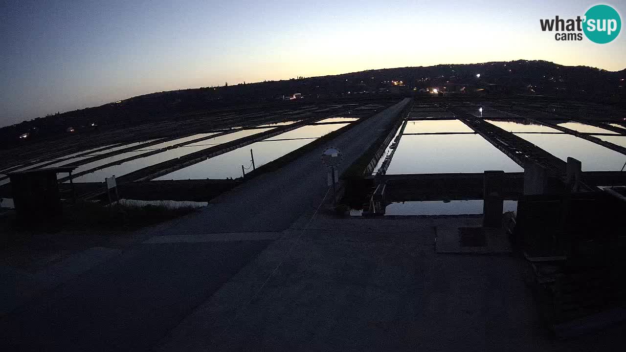 Krajinski Park Sečoveljske Soline