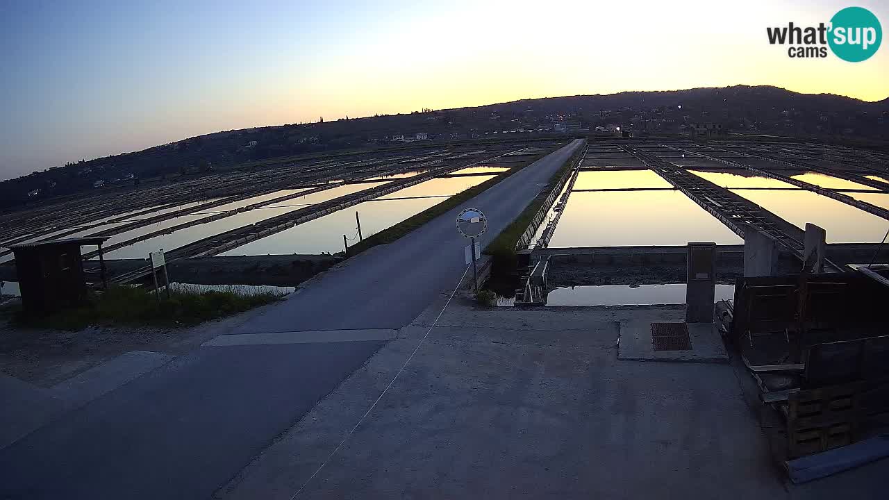﻿Sečovlje Salina Nature Park – KPSS