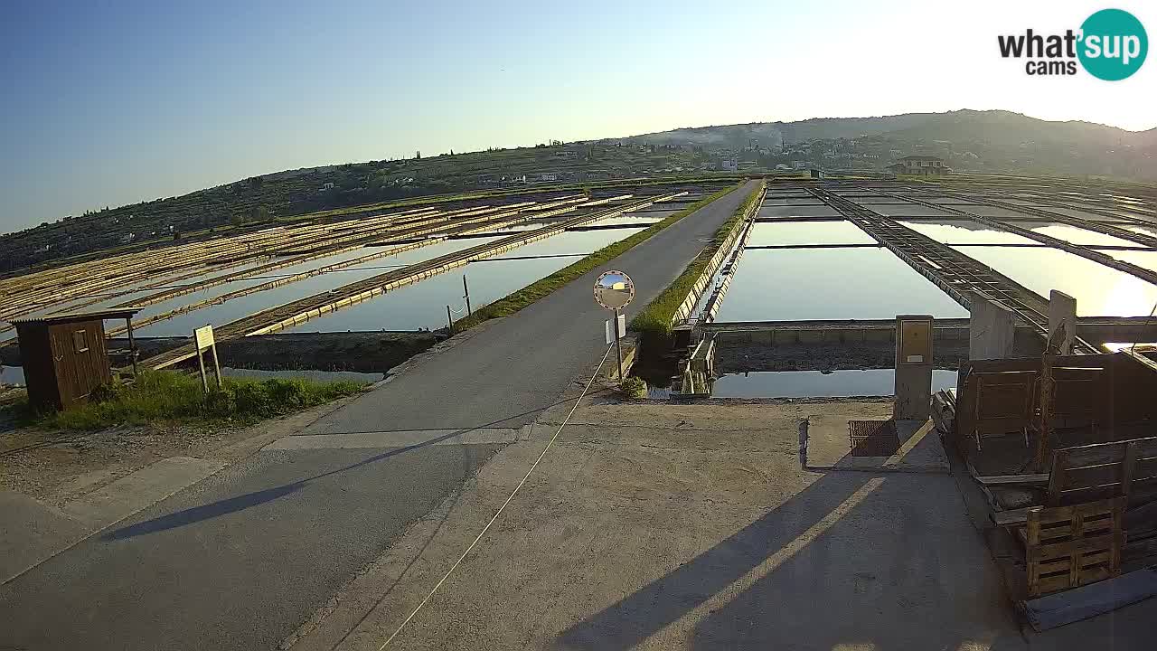 Sezza – Panorama e le saline