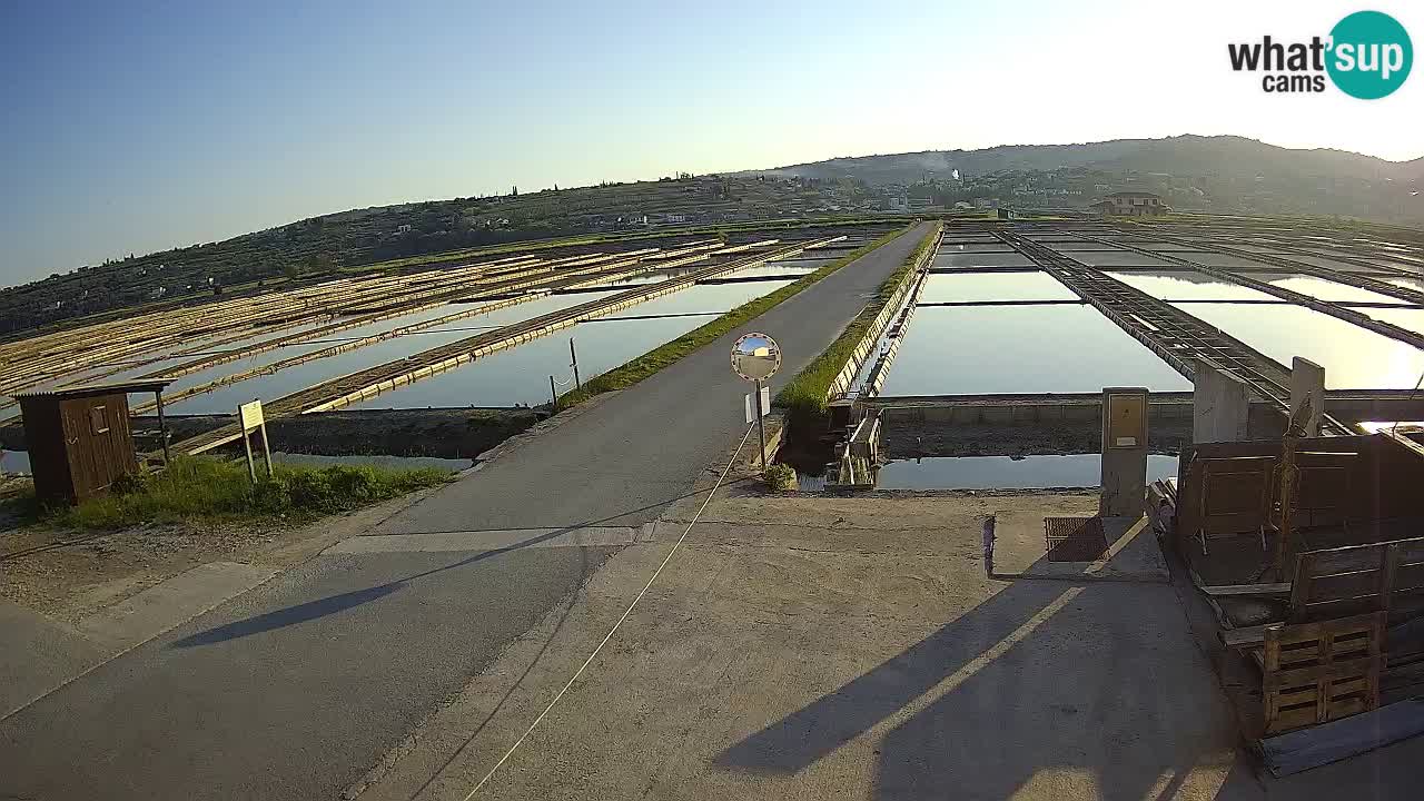 Krajinski Park Sečoveljske Soline