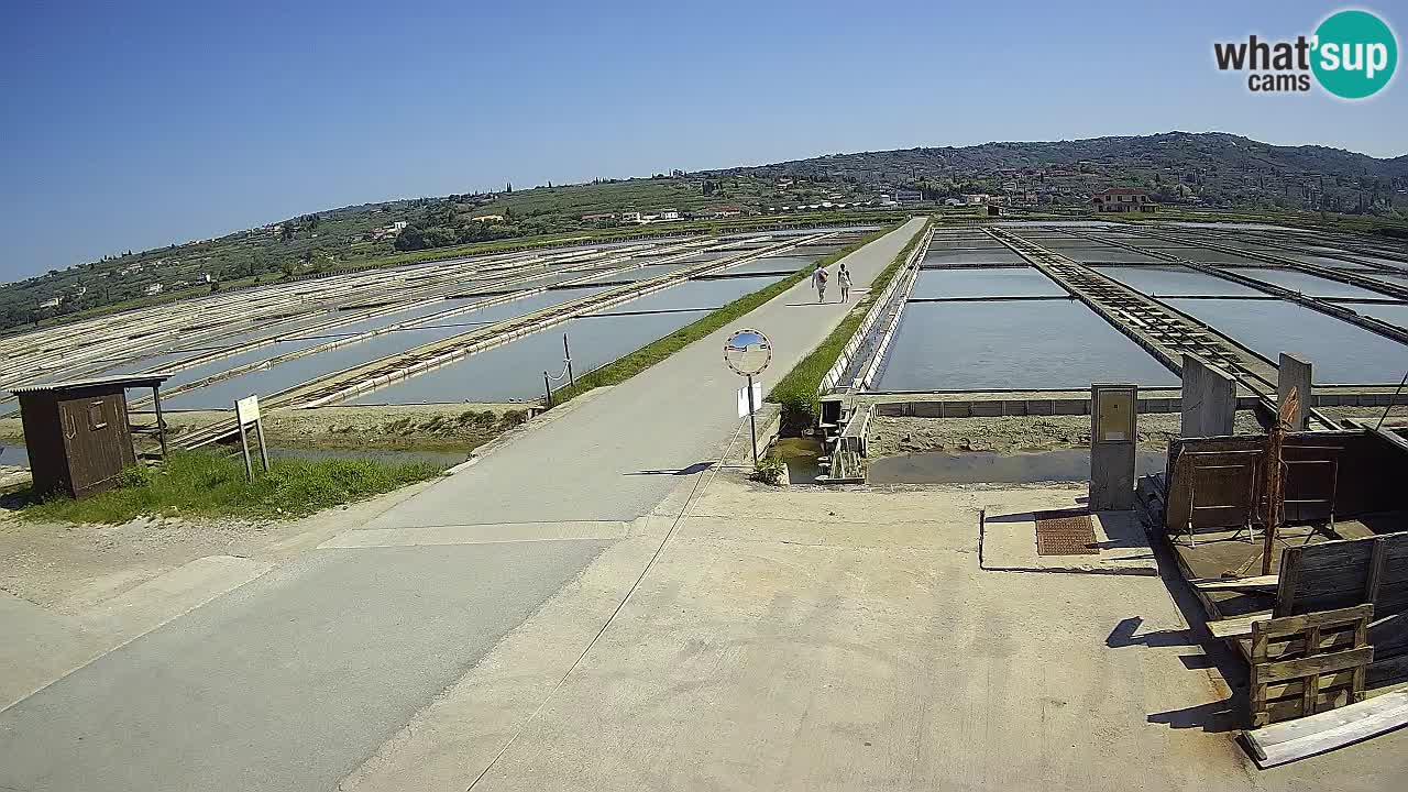 Park prirode Sečovlje Salina