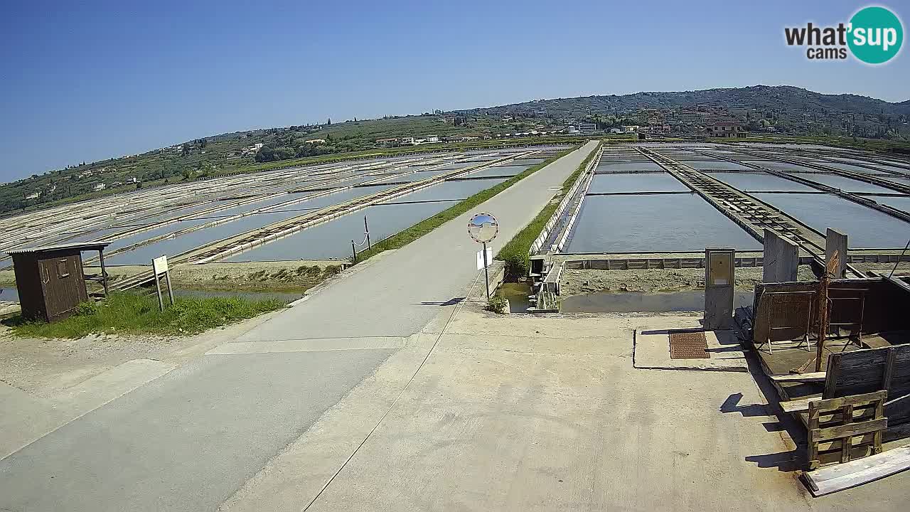 Sečovlje Salina Nature Park