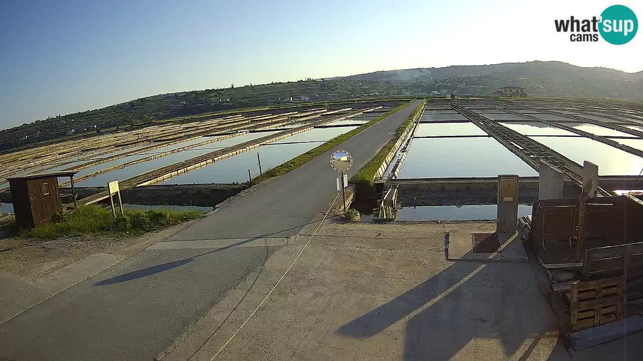 Parco Naturale Saline di Sicciole