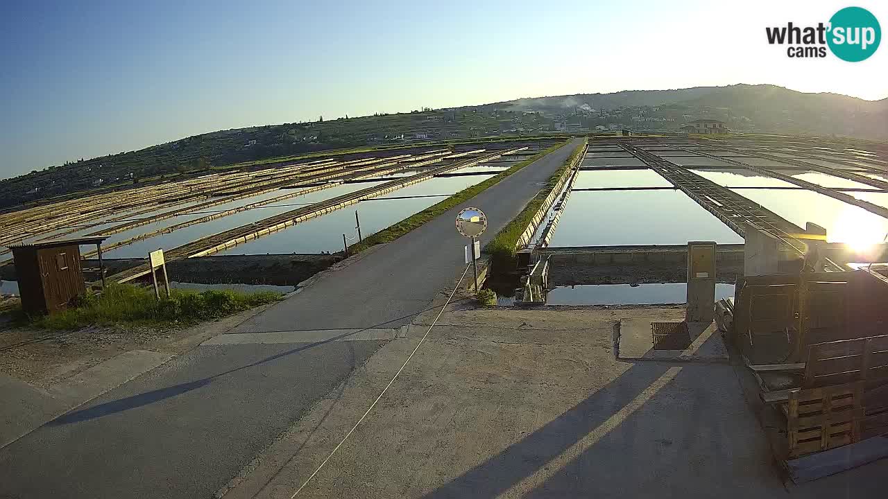 Sečovlje Salina Parque Natural