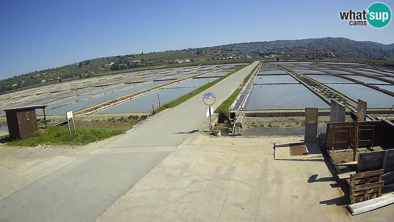 Sečovlje Salina Nature Park