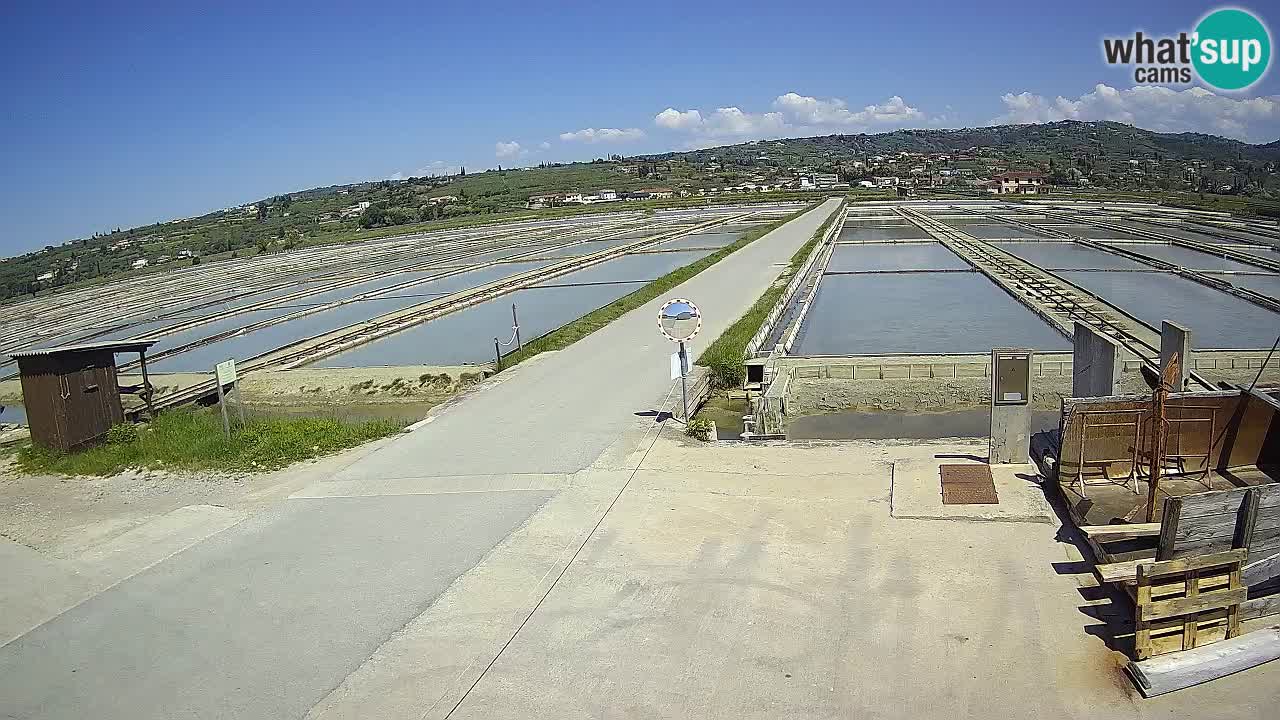 Krajinski Park Sečoveljske Soline