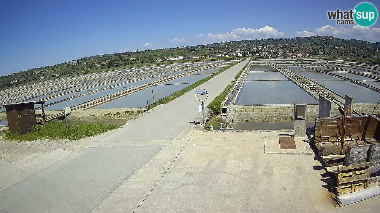 Krajinski Park Sečoveljske Soline
