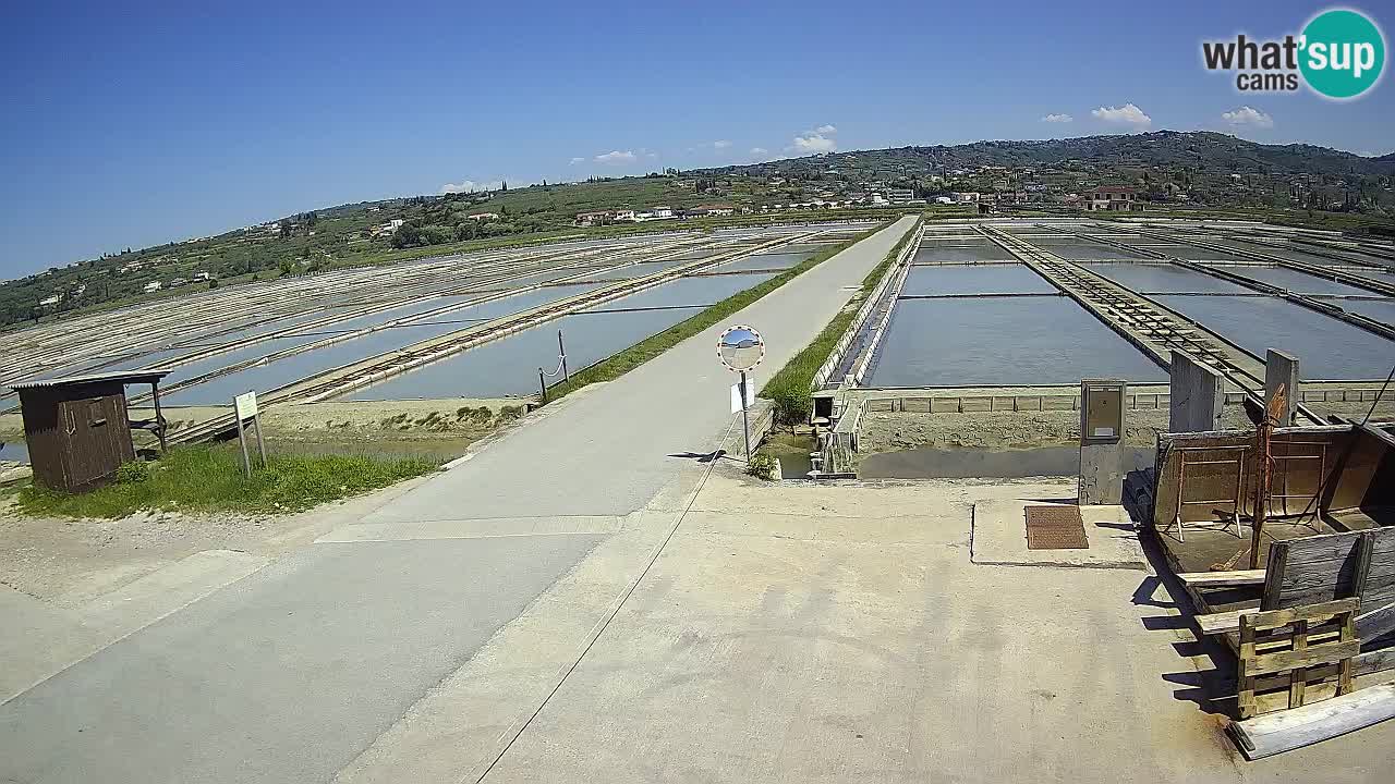 Krajinski Park Sečoveljske Soline