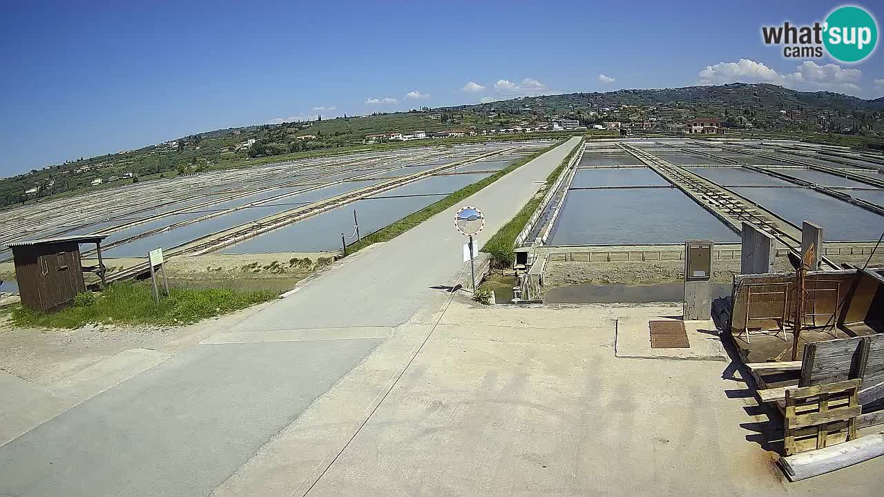 Krajinski Park Sečoveljske Soline