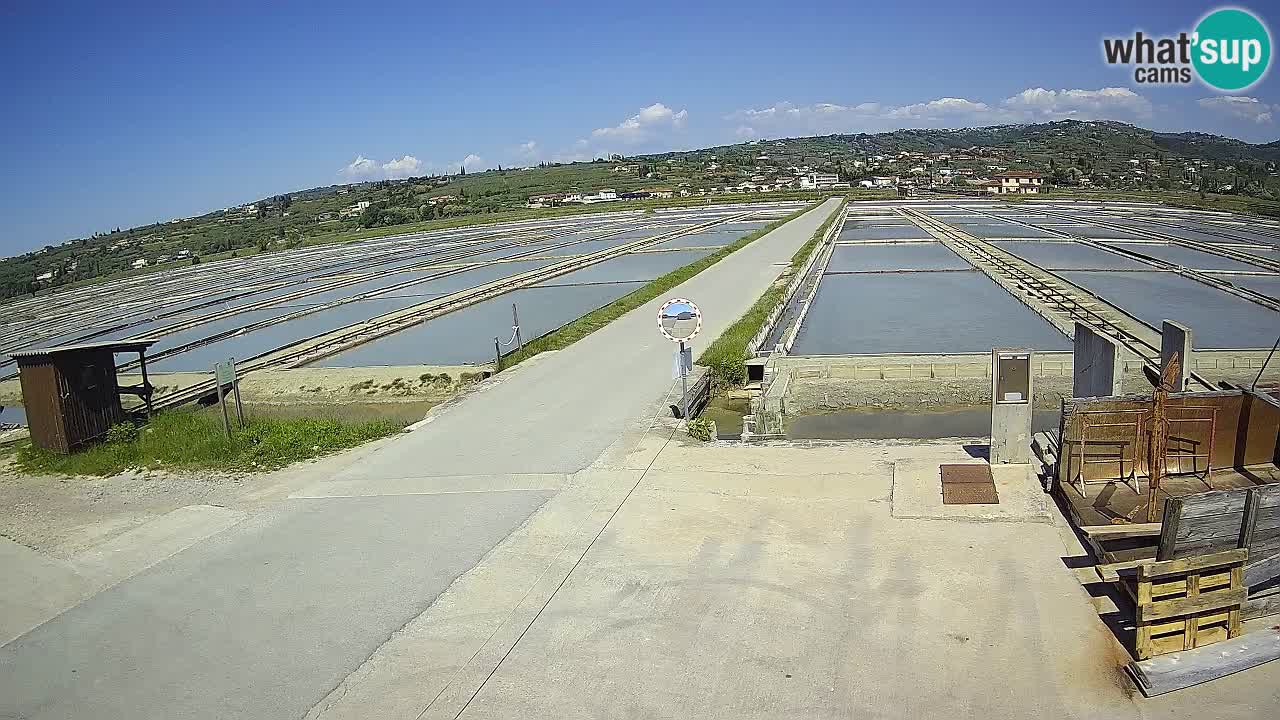﻿Sečovlje Salina Nature Park – KPSS