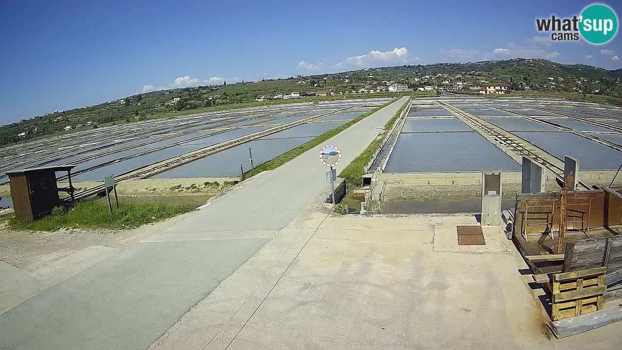 Sečovlje Salina Nature Park