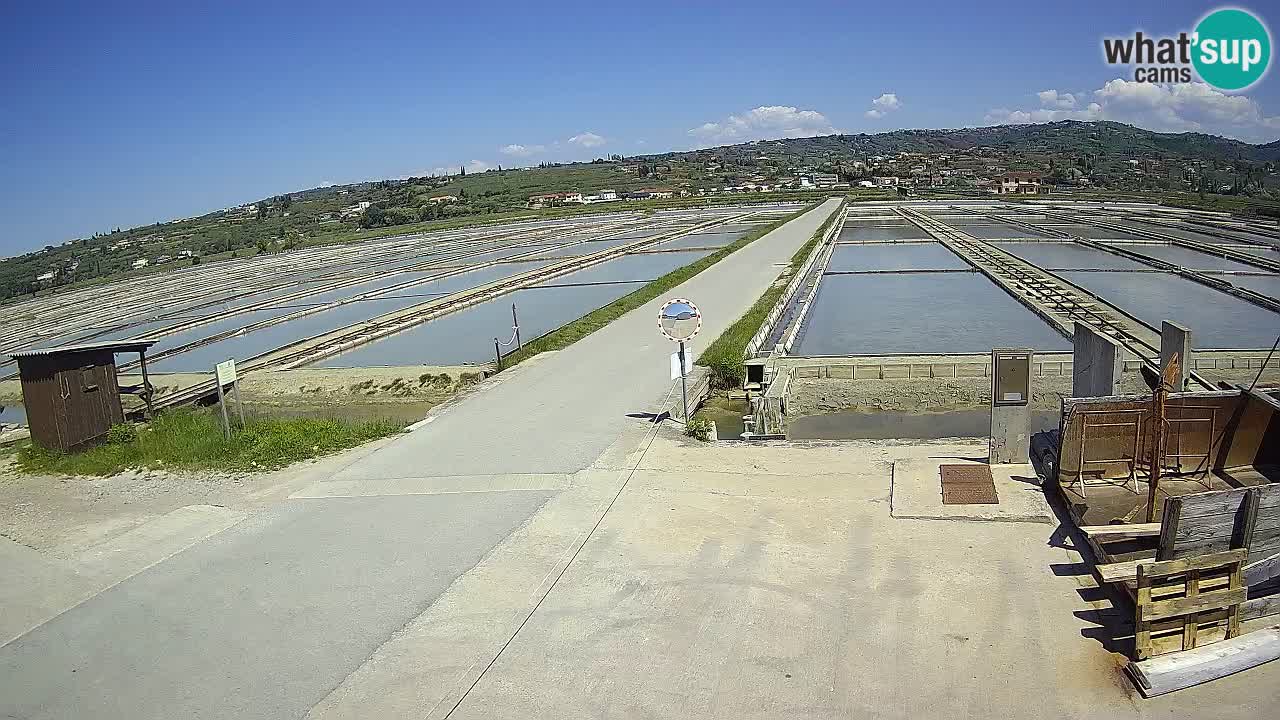 Parco Naturale Saline di Sicciole