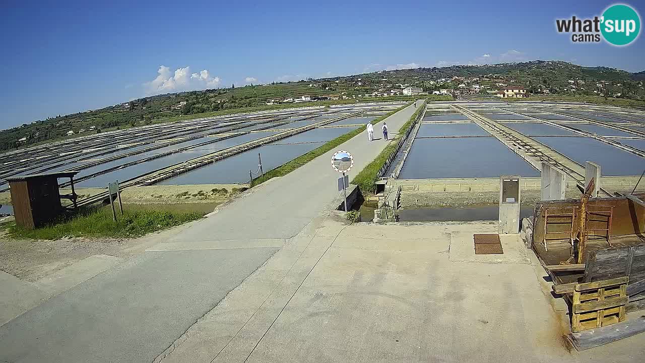 Sezza – Panorama e le saline
