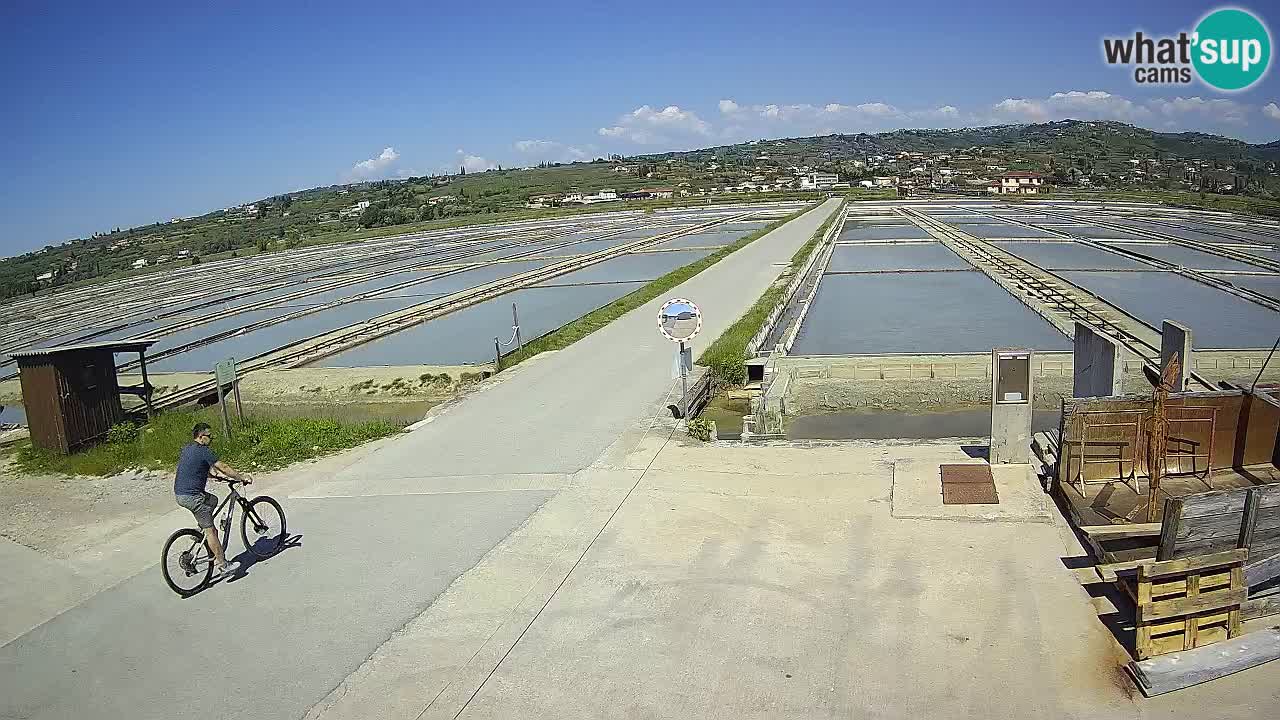 Sečovlje Salina Nature Park