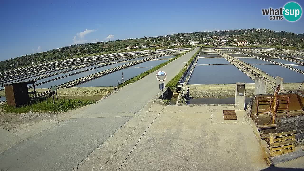 Sezza – Panorama e le saline