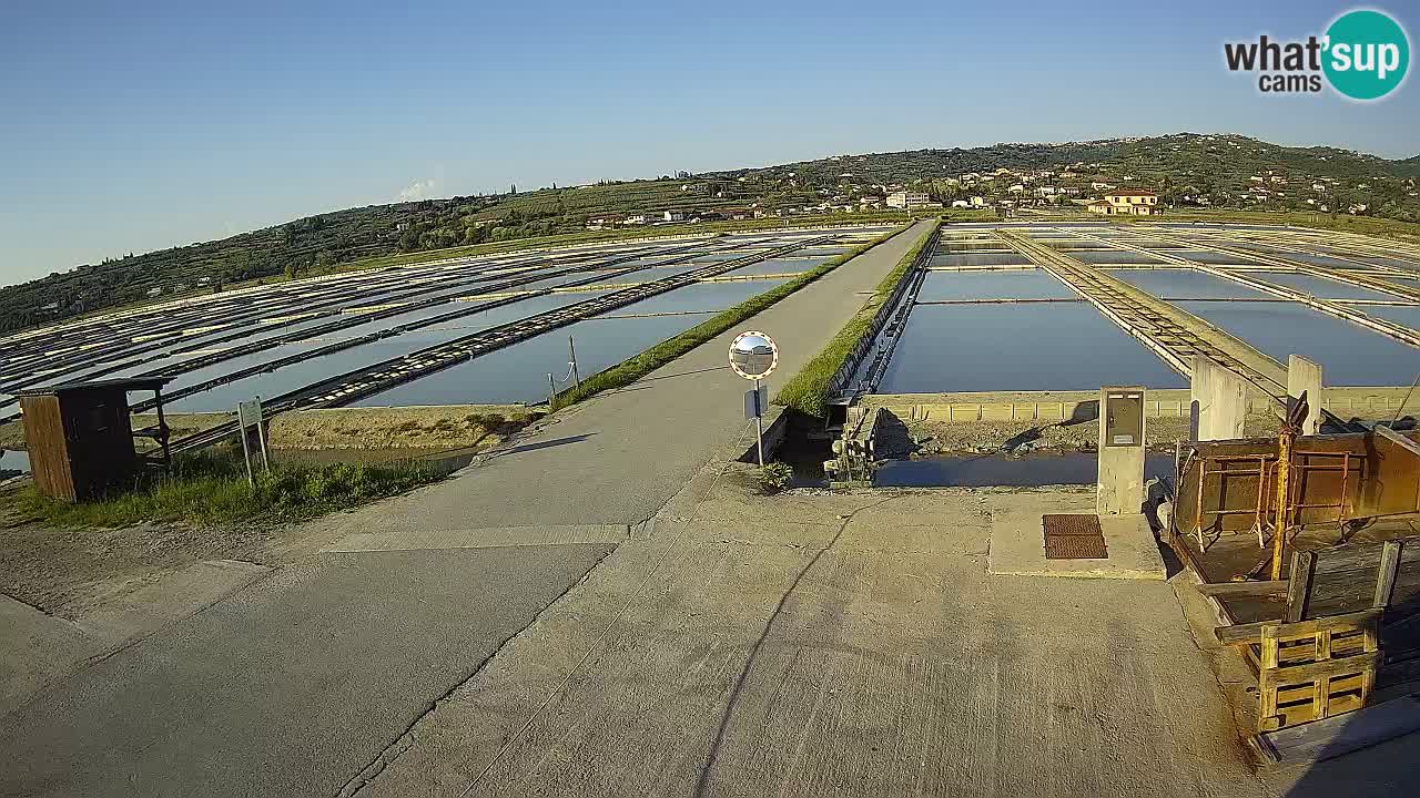 Park prirode Sečovlje Salina
