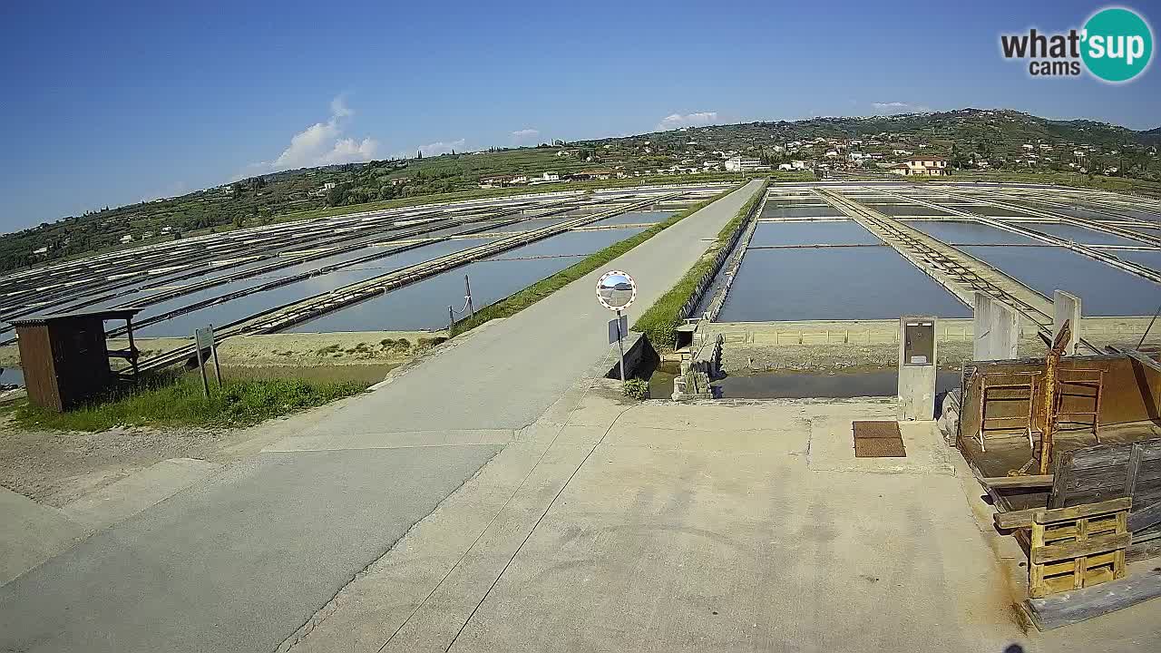 Sečovlje Salina Nature Park