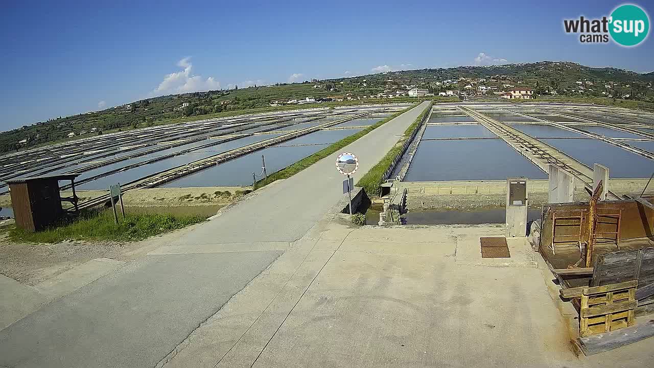 Sečovlje Salina Nature Park