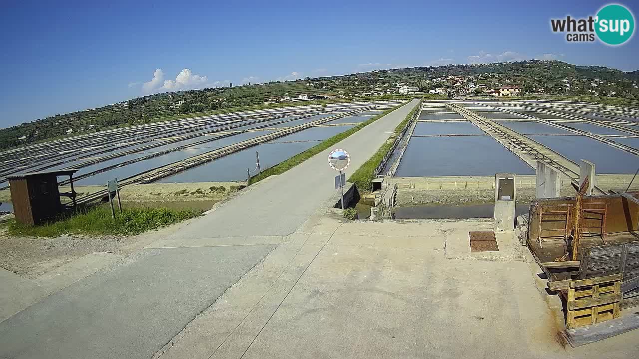 Sečovlje Salina Parque Natural