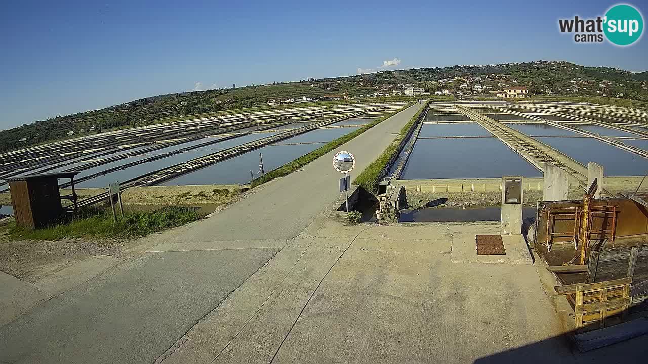 Sečovlje Salina Parque Natural
