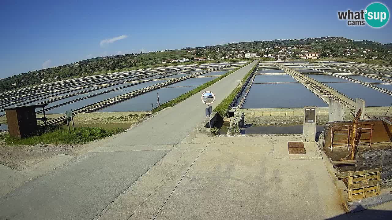 Sečovlje Salina Nature Park