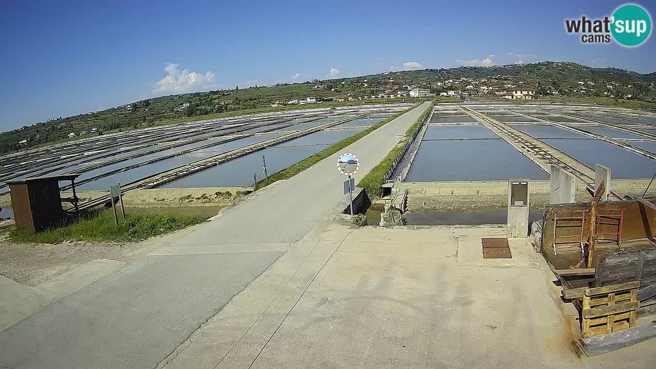 Sečovlje Salina Parque Natural