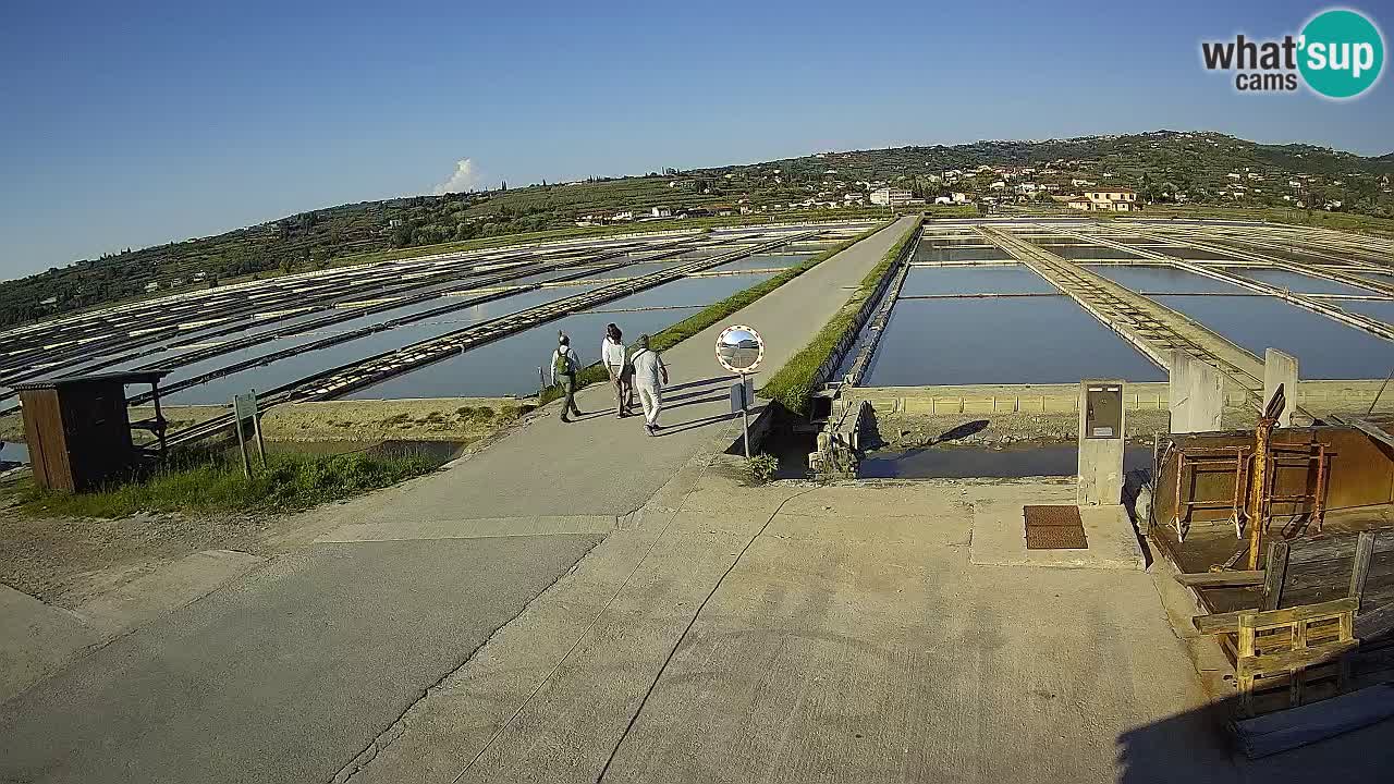 Krajinski Park Sečoveljske Soline